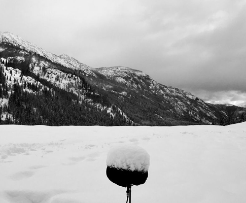 回归自然：声音探险家Thomas Rex Beverly与Sennheiser捕捉了Cascade山脉的鼓舞人心的音景